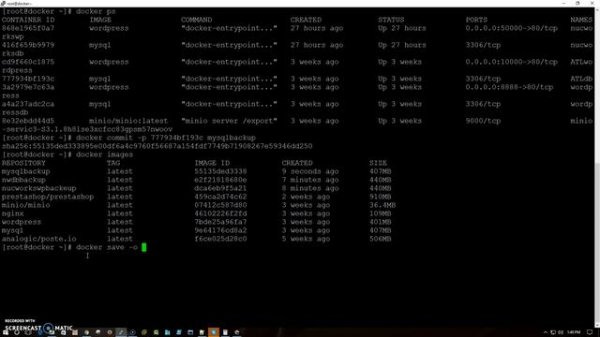 How to backup Docker Containers