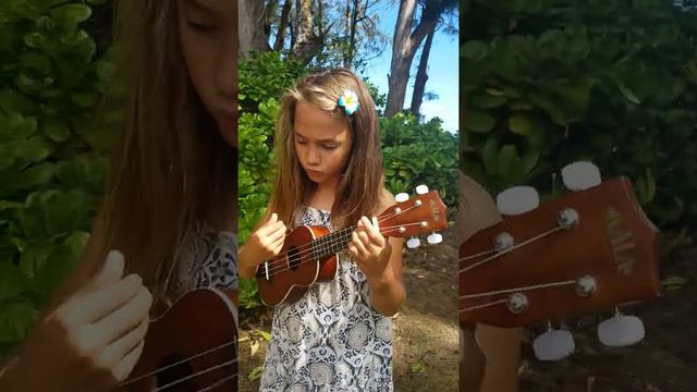 Ukulele Concerto (Cover) смотреть онлайн