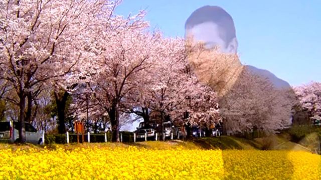 【Gachimuchi】Spring Time смотреть онлайн