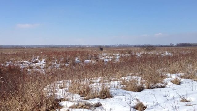 Stels 500 GT повис!