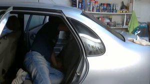 Тонировка Калины