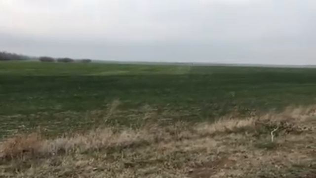 Удобрение Эликсир Зорка. Сербия. Посев осень 2018. 6:12:24 +сера смотреть онлайн