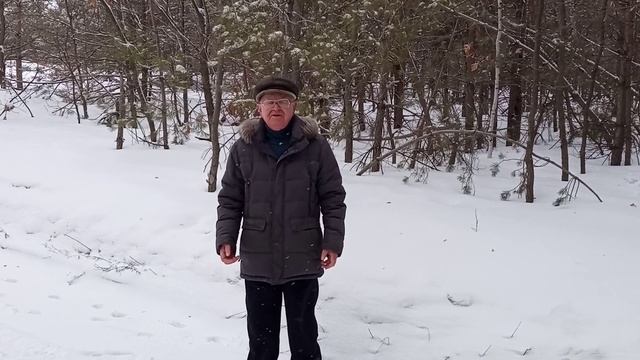 Есенин Мне осталась одна забава смотреть онлайн