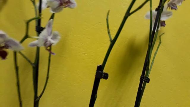 Новое место😁 смотреть онлайн