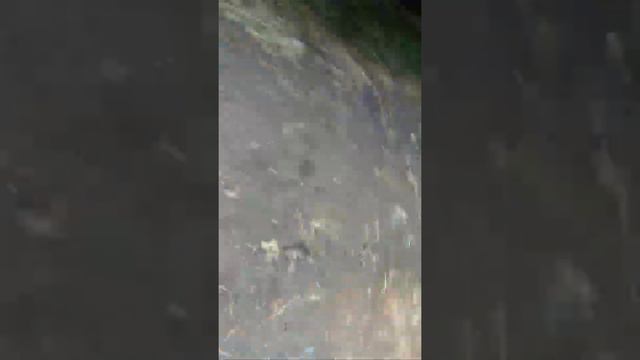 Случка кролика.. Серий великан смотреть онлайн