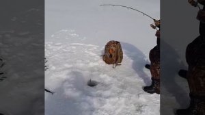 Зимняя рыбалка на Сахалине..оз.Тунайча. Март 2021 г.