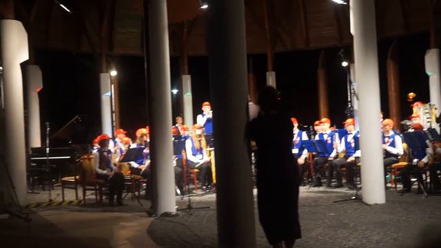 Г. Пучков, "Полёт шмеля" (на тему Римского-Корсакова) смотреть онлайн