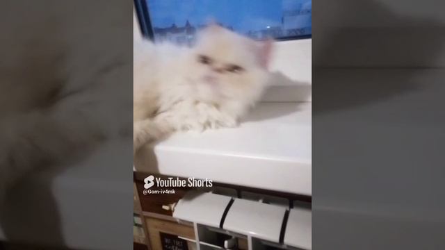 старушка 20 лет ❤️.mp4