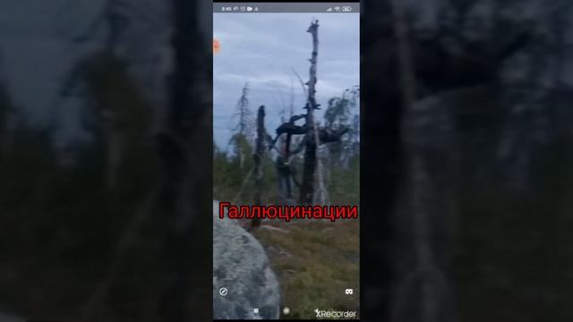 Воттовара