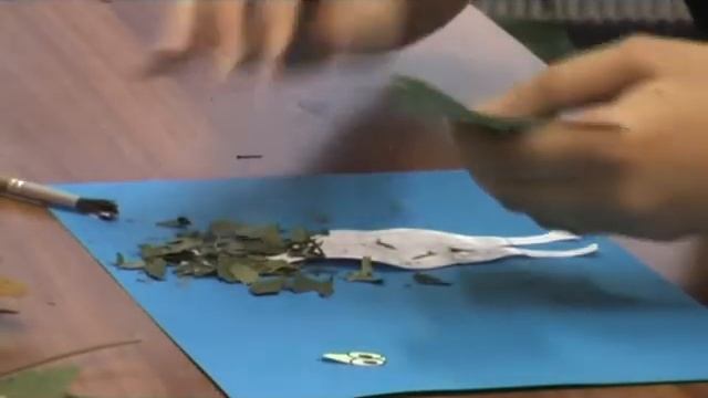 павлин смотреть онлайн