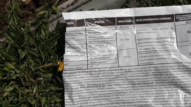 Первая подкормка клубники весной. смотреть онлайн