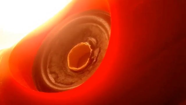 Bass Test... JBL Charge 2+ Fake & JBL Boombox Fake смотреть онлайн