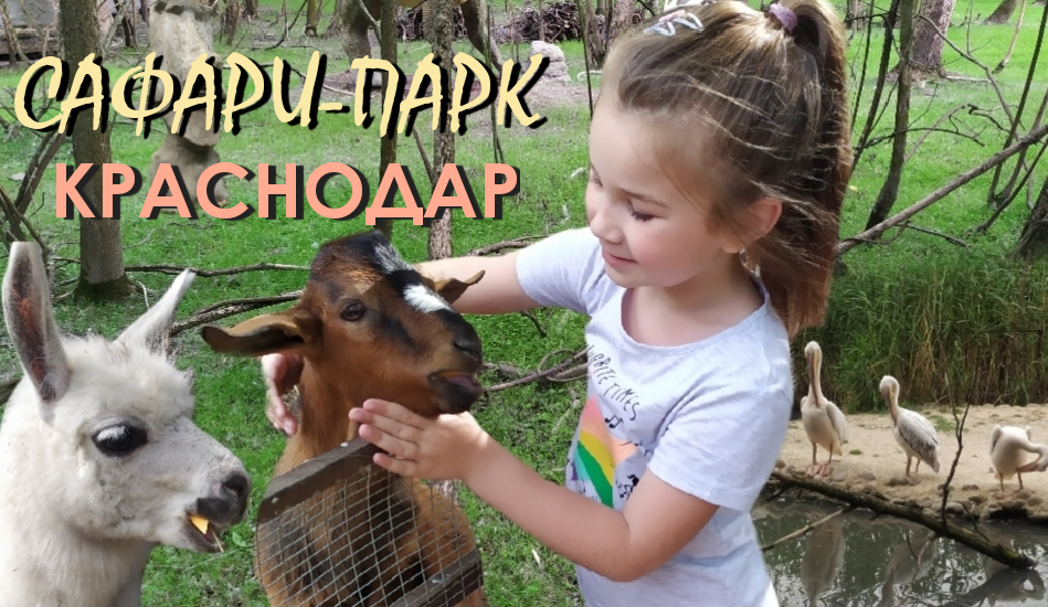 САФАРИ-ПАРК В КРАСНОДАРЕ/ КРАСНОДАРСКИЙ ЗООПАРК/ ЗООПАРК В ГОРОДЕ смотреть онлайн