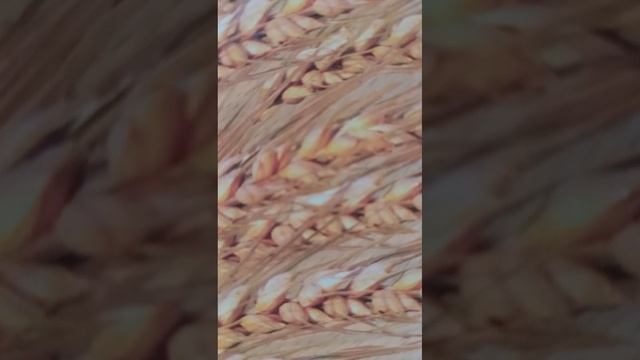 Отрекаются, любя смотреть онлайн