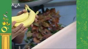 АЗН. Биология. Полоз. Банан