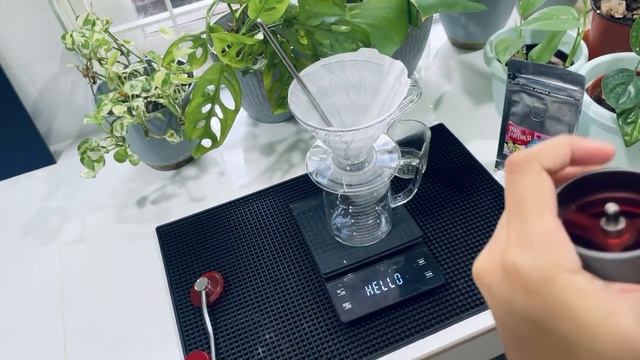 #amsr Making filter coffee using Hario V60 and Timemore C2 смотреть онлайн