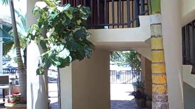 New Video Tour of Cape Coral, Florida! смотреть онлайн