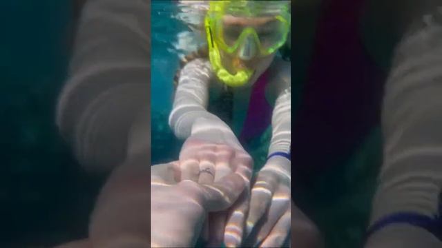 В мире морском #египет #красноеморе #рисование #скетч #diy #арттерапия смотреть онлайн