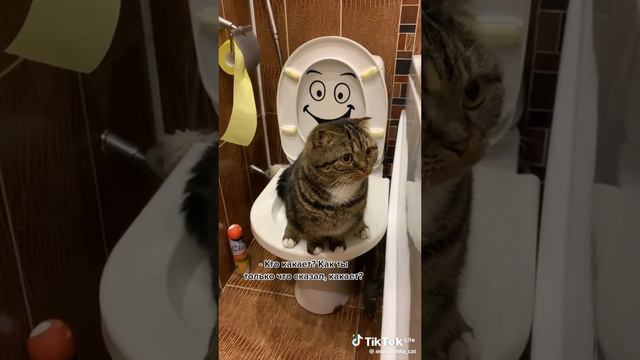 Лайки и подписки взаимно! #смешные #животные #фейлы #смешныеживотные #угар #ржака #коты #собаки #рек смотреть онлайн