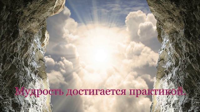 Инструкция Жизни в физическом плане смотреть онлайн