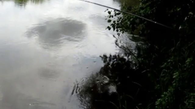 РЫБАЛКА В БЕЛОРУССИИ 25 07 2009 смотреть онлайн