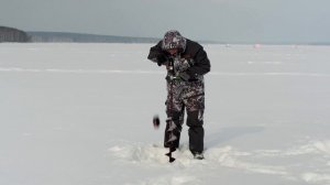 Шуруповёрт Metabo для зимней рыбалки