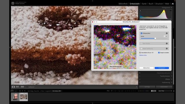 KI Rauschreduzierung in Lightroom Classic 12.3 und Camera Raw 15.3 смотреть онлайн