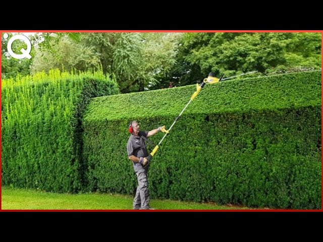 Интересные Видео Сотрудников Идеально Выполняющих Свою Работу смотреть онлайн