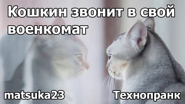 Технопранк от Matsuka23 - Кошкин звонит в свой военкомат смотреть онлайн