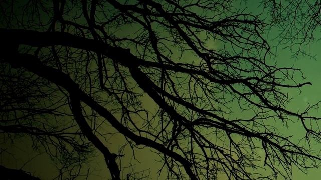 Волшебные Палочки: Полная Версия смотреть онлайн