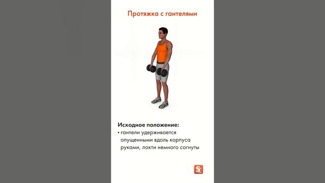 ? Протяжка с гантелями смотреть онлайн