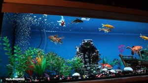 Домашние питомцы| Любимые животные | изучаем домашних питомцев