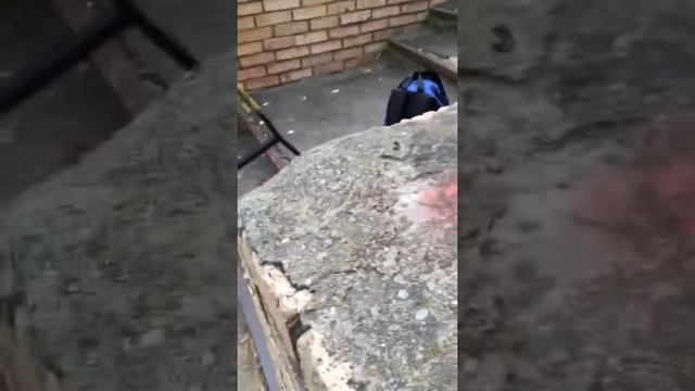 Покрасил деку ?? смотреть онлайн