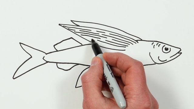 How to Draw Flying Fish | Animals Drawing Tutorial смотреть онлайн
