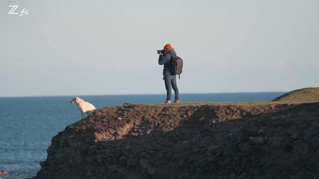 The Z fc: Capture your iconic moments смотреть онлайн