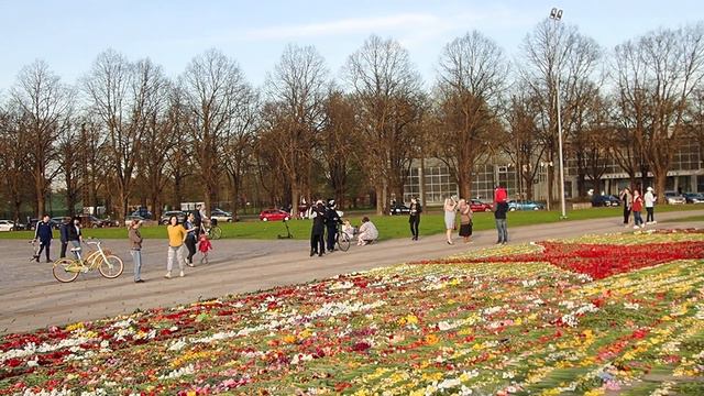 в Риге красная звезда из гвоздик 10 5 2021 смотреть онлайн