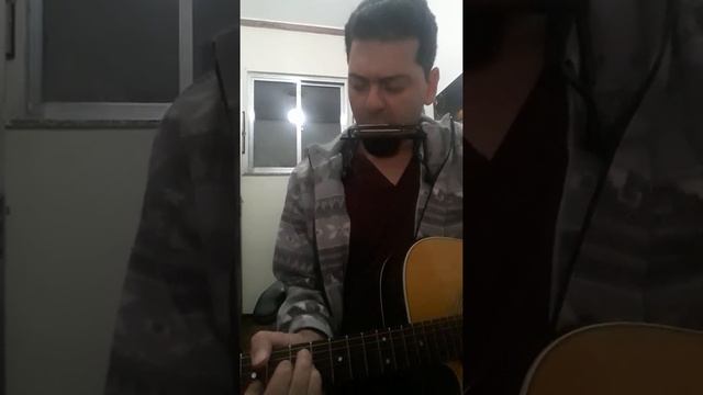 Born on the Bayou - Creedence cover (Cláudio Kaz) смотреть онлайн