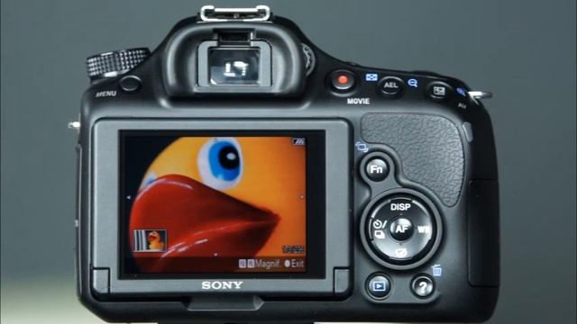 Sony A58 Instructional Guide by QuickPro Camera Guides смотреть онлайн