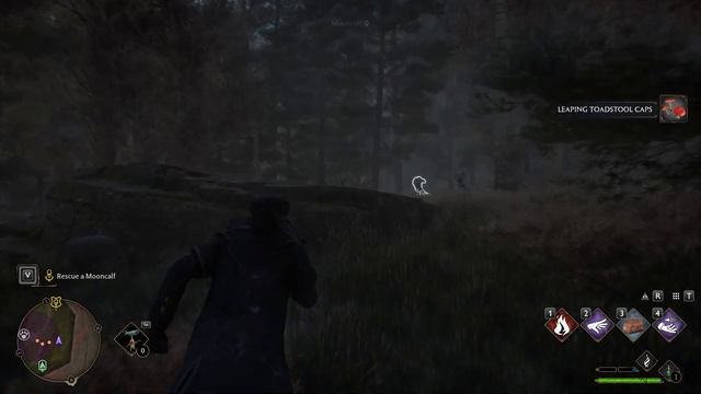 Rescue a Mooncalf | The Elf The Nab-Sack And The Loom | Hogwarts Legacy смотреть онлайн