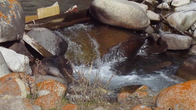 MVI_3813 смотреть онлайн