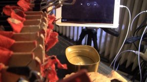 Можно ли мех гармони укоротить или как отпилить кусок гармошки ? Ролик 2 ( Прождолжение следует )