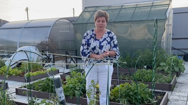 СТОП! ВЕРШИННАЯ ГНИЛЬ НЕ ПРОЙДЕТ! смотреть онлайн