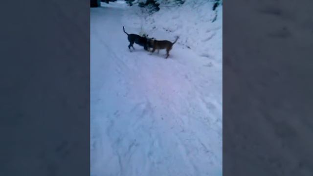 утро футбол смотреть онлайн