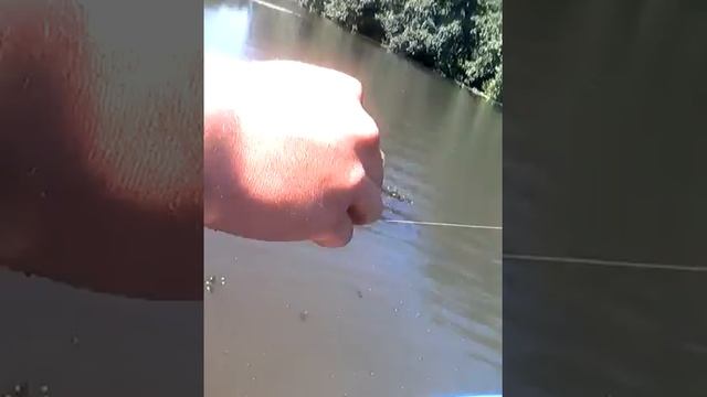 мелкий голавлик смотреть онлайн