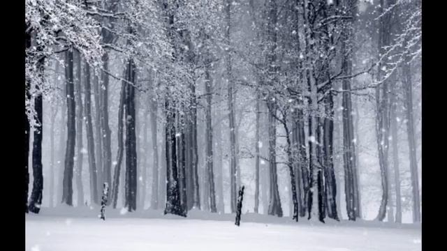 Folklore: The Long Pond Studio Sessions (slowed + Reverb)