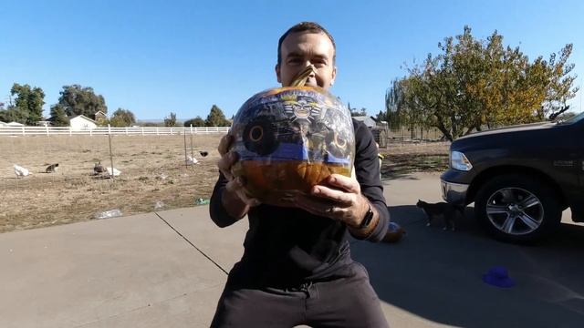 Kids Smashing Pumpkins and MONSTER JAM Monster Trucks | ZOMBIE Invasion | Pumpkin Bowling смотреть онлайн