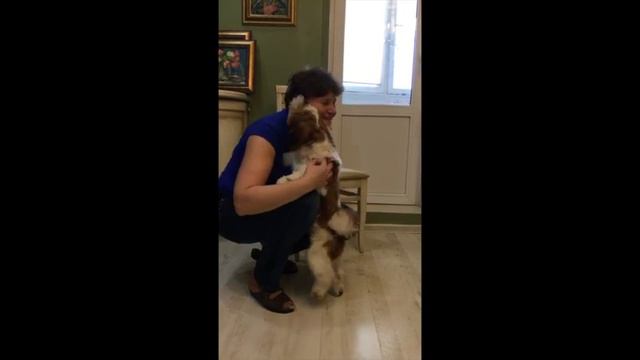 Наши благодарные клиенты смотреть онлайн