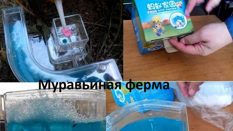Муравьиная ферма из Китая. Формикарий. Как разводить муравьев смотреть онлайн