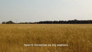 И это тоже пройдёт. Притча - Кольцо Соломона. Всё пройдет. Ничто не вечно