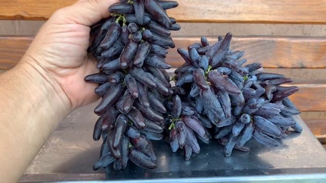Кишмиш Хэллоуин или Ведьмин палец (Witch's finger). смотреть онлайн
